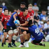 2024.10.19 sat｜練習試合 練習試合10.19｜vs 埼玉パナソニックワイルドナイツ