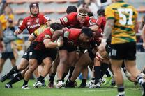 清水建設江東ブルーシャークス戦 (練習試合 2024/10/26 sat ) 