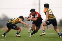清水建設江東ブルーシャークス戦 (練習試合 2024/10/26 sat ) 