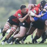 2024.11.23 sat｜練習試合 練習試合11.23｜vs 静岡ブルーレヴズ