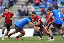 埼玉パナソニックワイルドナイツ戦 (NTTリーグワン 2024-25 第8節)