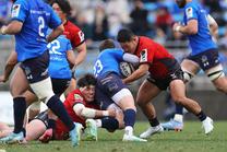 埼玉パナソニックワイルドナイツ戦 (NTTリーグワン 2024-25 第8節)