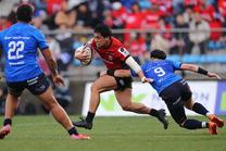 埼玉パナソニックワイルドナイツ戦 (NTTリーグワン 2024-25 第8節)