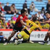 2025.04.05 sat｜NTTリーグワン2024-25 第14節｜vs 浦安D-Rocks