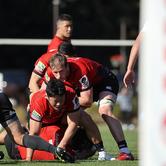 2025.11.15 sat｜練習試合 練習試合2025.11.15｜vs 埼玉パナソニックワイルドナイツ