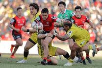 東京サントリーサンゴリアス (NTTリーグワン 2025-26 第9節)