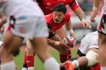 トヨタヴェルブリッツ (NTTリーグワン 2025-26 第13節)