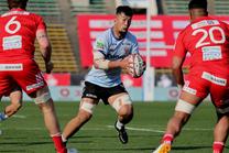 コベルコ神戸スティーラーズ (NTTリーグワン 2025-26 第12節)