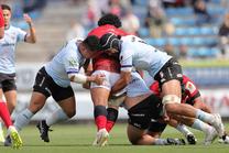 東芝ブレイブルーパス東京 (NTTリーグワン 2025-26 第16節)