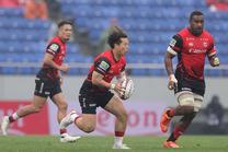 埼玉パナソニックワイルドナイツ (NTTリーグワン 2025-26 第14節)