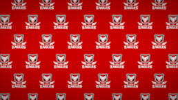 Canon Ealges Virtual Background Image 2